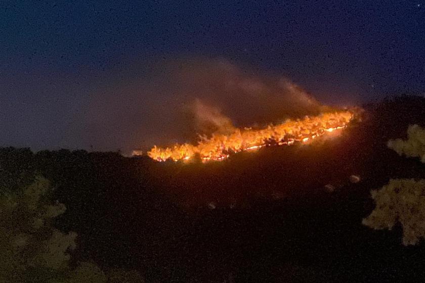 Çanakkale'nin Ayvacık ilçesinde orman yangını