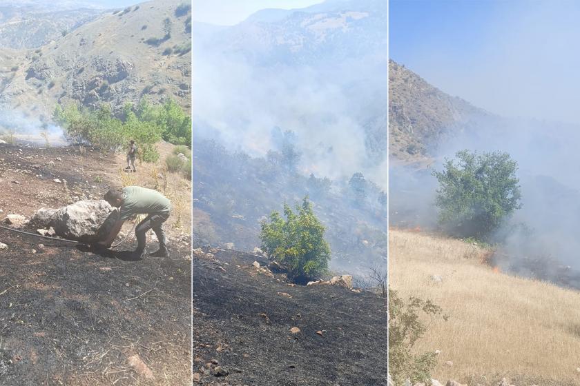 Adıyaman Gerger ilçesindeki ormanlık alanda yangın çıktı 