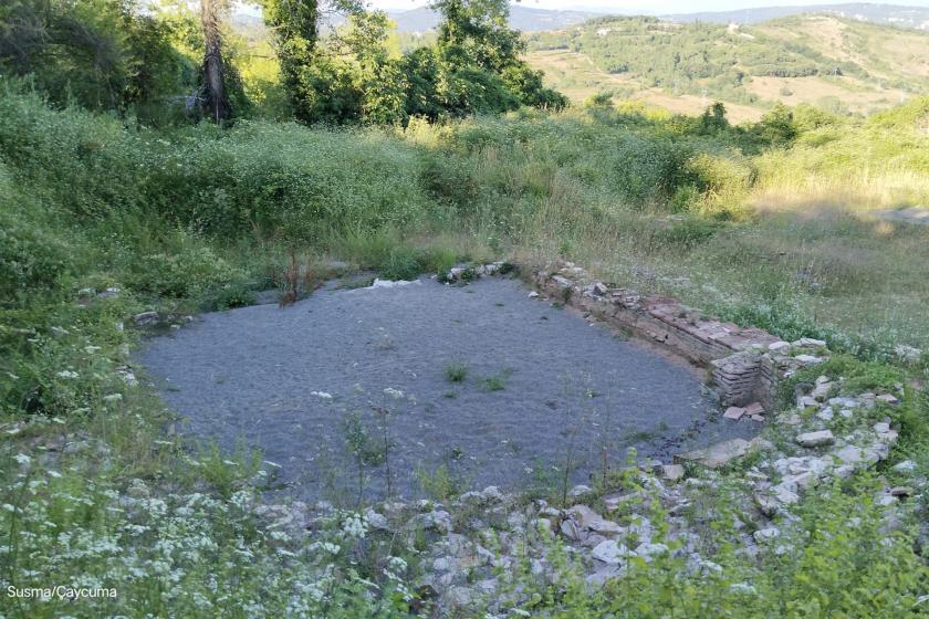 Çaycuma Kadıoğlu köyündeki mozaikler 