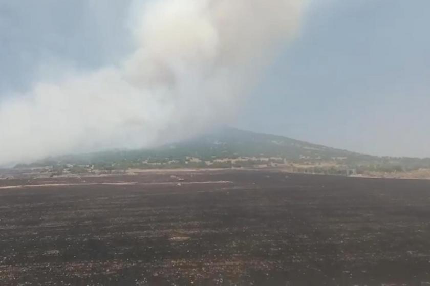 Maraş orman yangını