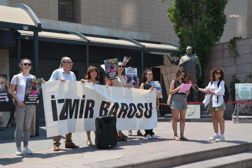 İzmir Barosu sokak hayvanları açıklaması