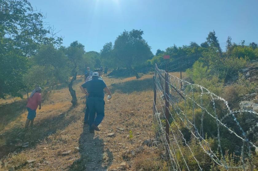 İkizköyde kaden şirketi zeytinliklere telli tel çakti