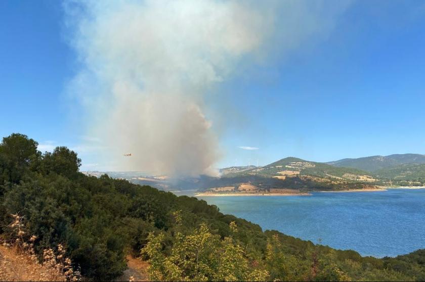 Çanakkale Bigadiç'te orman yangını