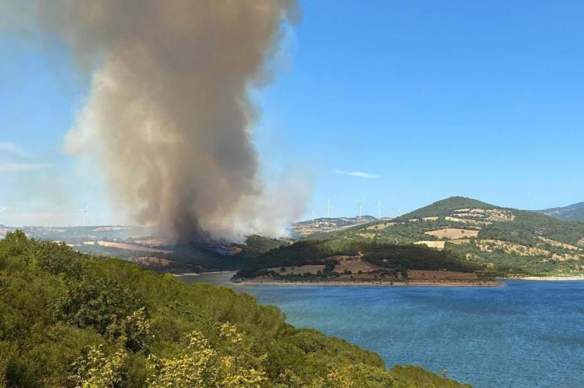 Çanakkale'de orman yangını 