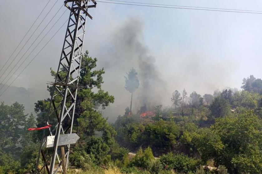 Muğla orman yangını