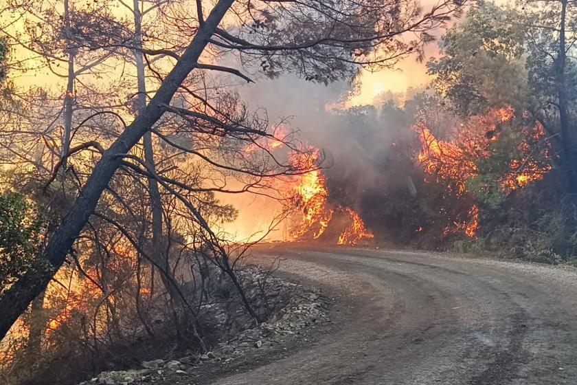 Adana'da orman yangını 