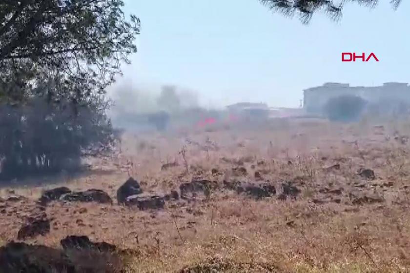 İzmir Foça'da çıkan yangın.