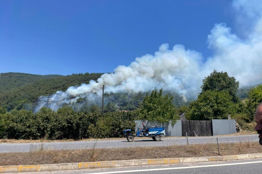 Sakarya'da yangın 