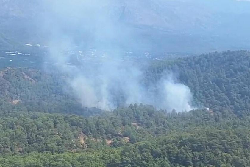 Muğla Köyceğiz orman yangını 