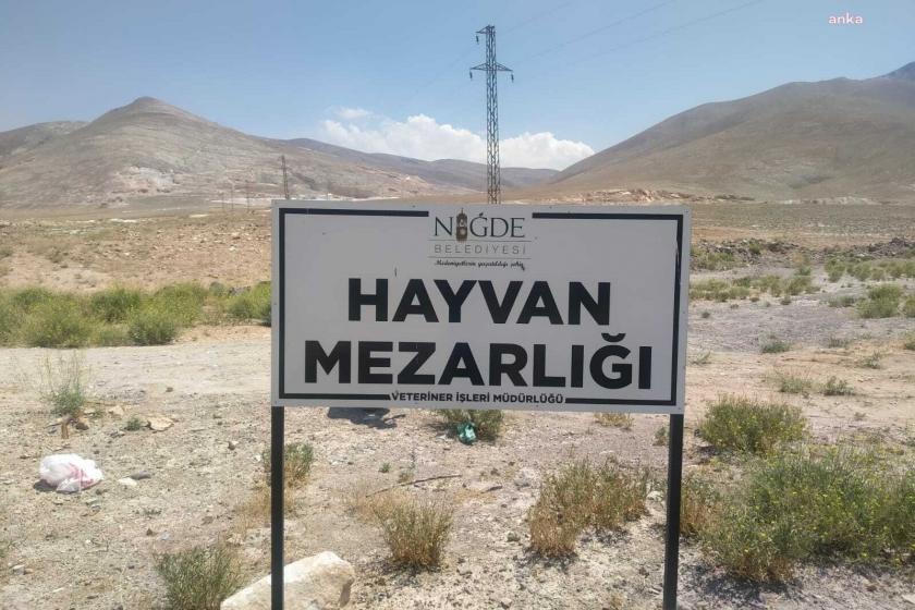 Niğde'de yer alan hayvan mezarlığı.