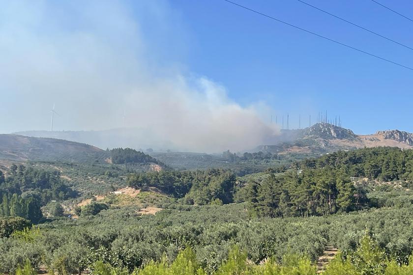 Bursa'da orman yangını