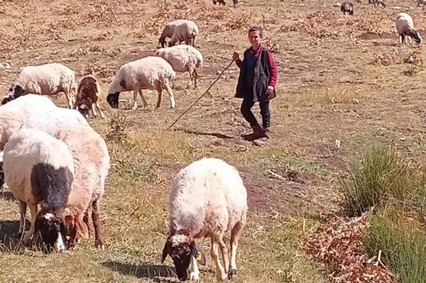 Davarcı Ahmet'in fotoğrafı