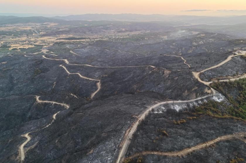 Çanakkale orman yangını