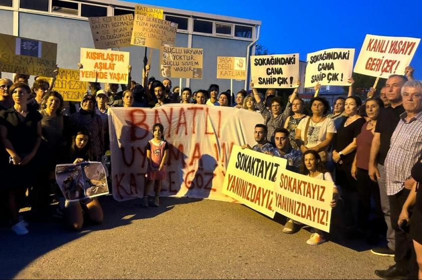 Bergama’da yaşanan köpek katliamı protesto edildi