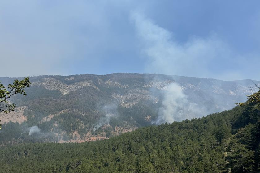 Karabük'te orman yangını 