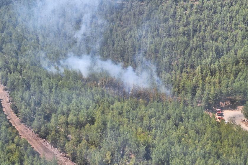 Mersin Silifke'de orman yangını 