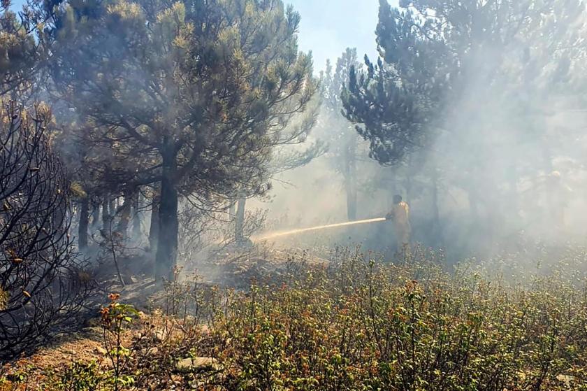 Afyon'da orman yangını