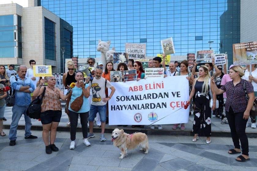 Hayvan yaşam hakkı savunucuları eylem