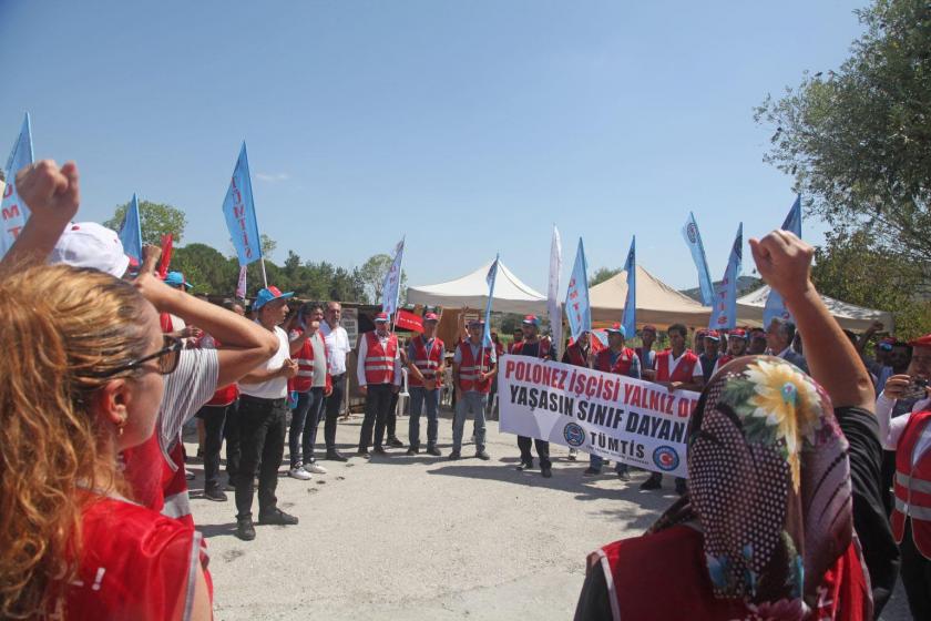 tümtis ve polonez işçileri birlikte