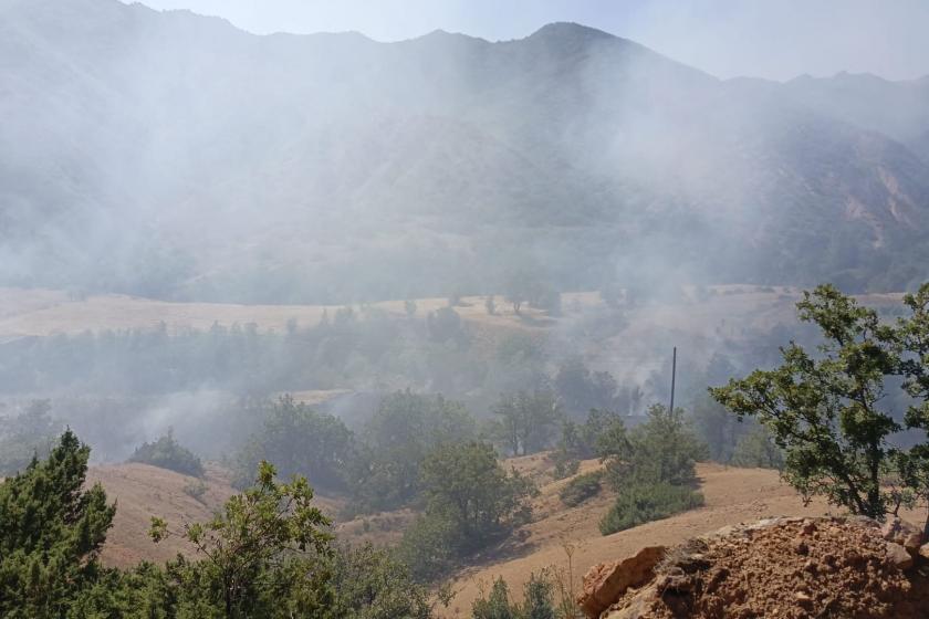 Dersim'de orman yangını