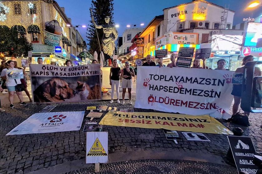 Hayvan hakları savunucuları Antalya'da eylem yaptı