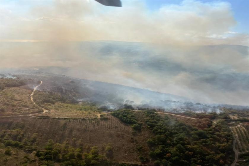 Bursa İznik'te orman yangını