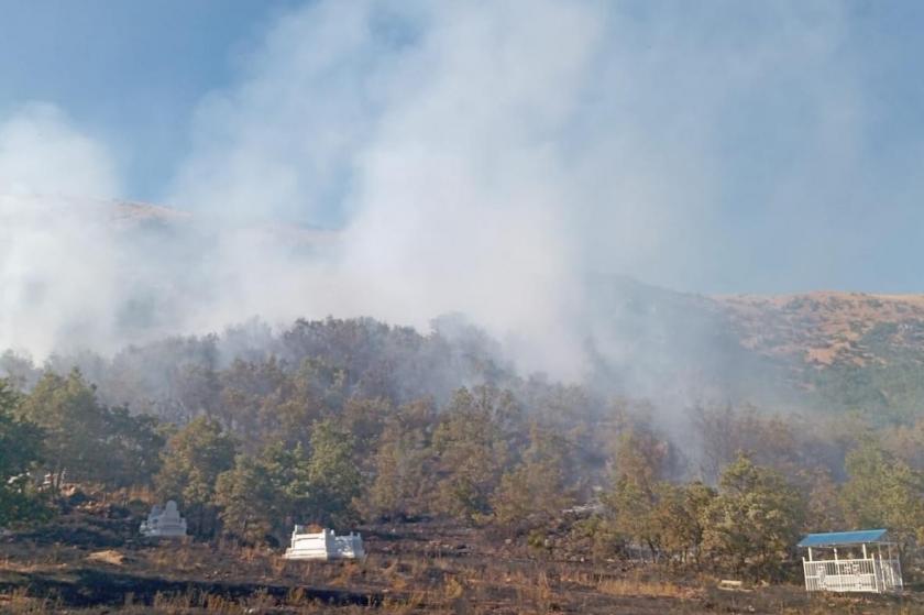 Dersim'de orman yangını