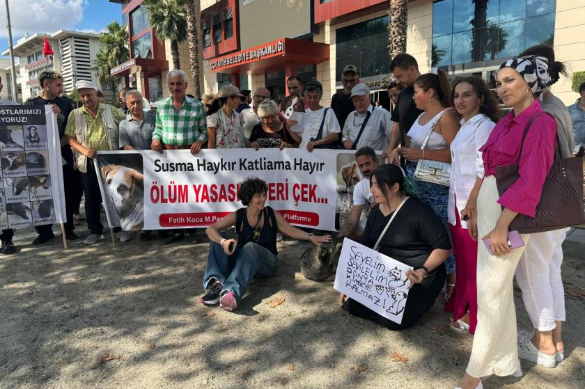 Fakih'te hayvan hakları savunucuları protesto eylemi