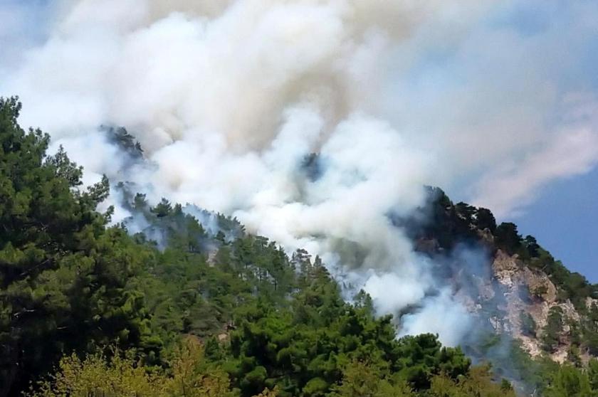 Antalya Kumluca'da orman yangını