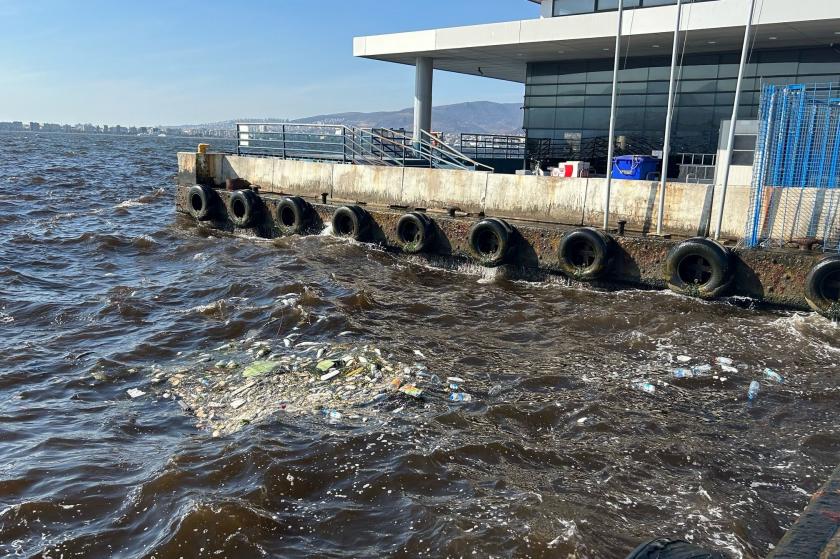 İzmir denizde balık ölümleri