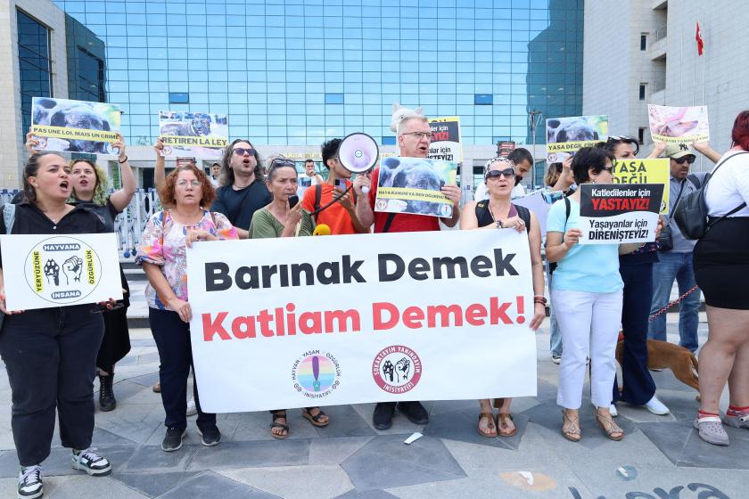 Ankara Büyükşehir Belediyesi önünde hayvan hakları protestosu