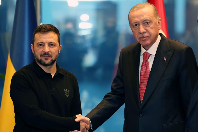 Erdoan ve Zelenskiy