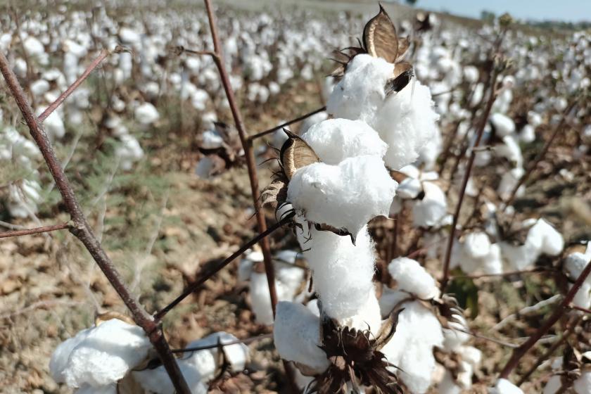 Aydın’da sulama kısıtlaması kararı Meclis’te