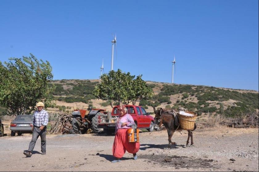 Karaburun’da kapasite artışına giden RES’lere karşı dava açıldı: Bunun adı ‘RES’men işgal!