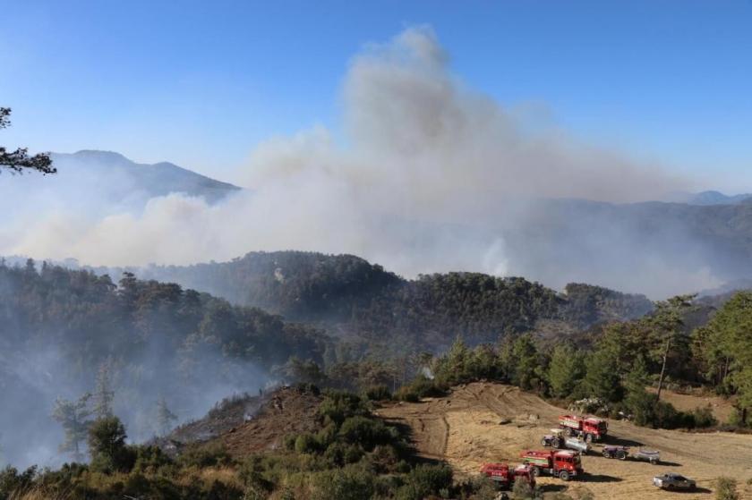 Muğla'da orman yangını