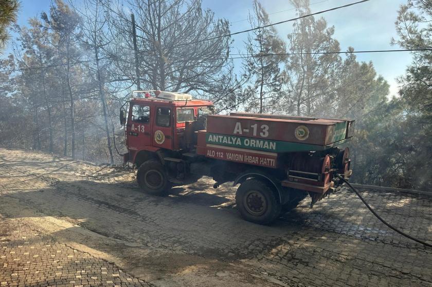 Antalya Alanya'da orman yangını