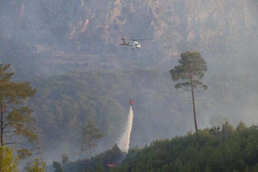 Muğla'da orman yangını