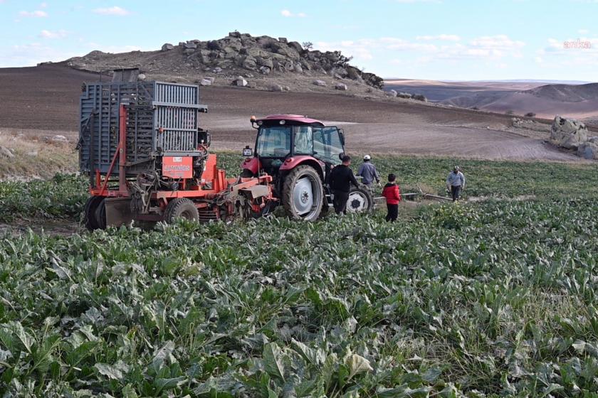 Yozgat'ta Pancar tarlasında çalışan köylüler