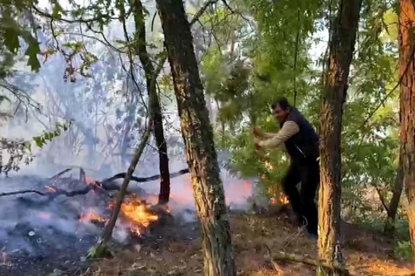 Maraş'ta orman yangını