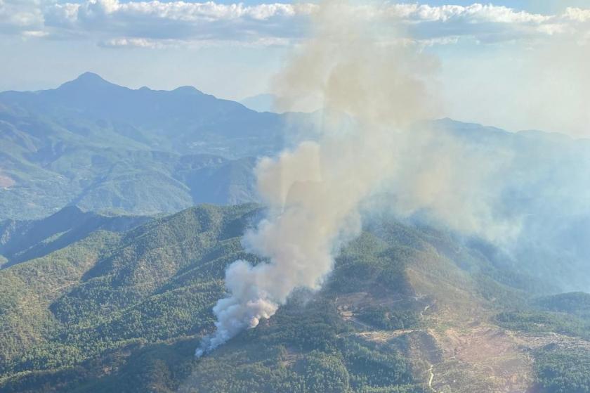 Muğla Köyceğiz'de orman yangını