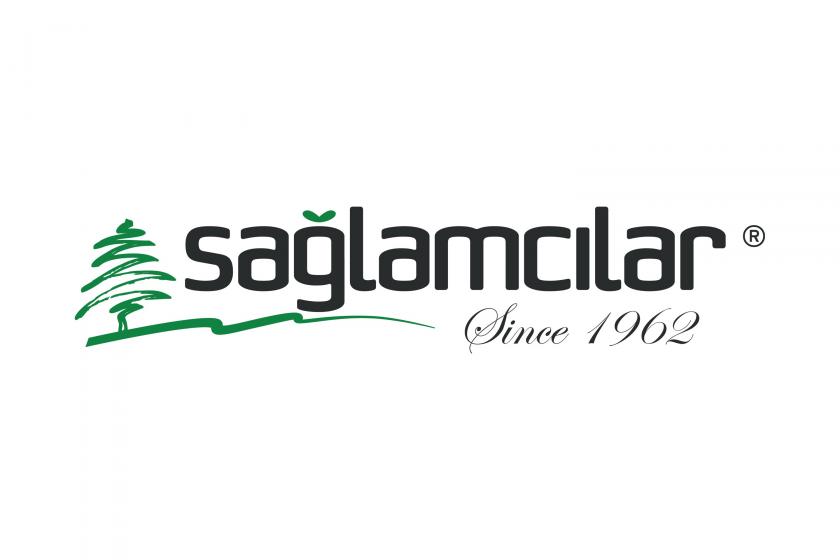 Sağlamcılar