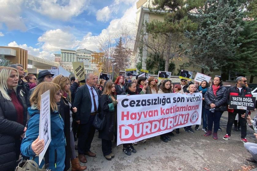 Ankara Barosu Hayvan Hakları Merkezi üyeleri