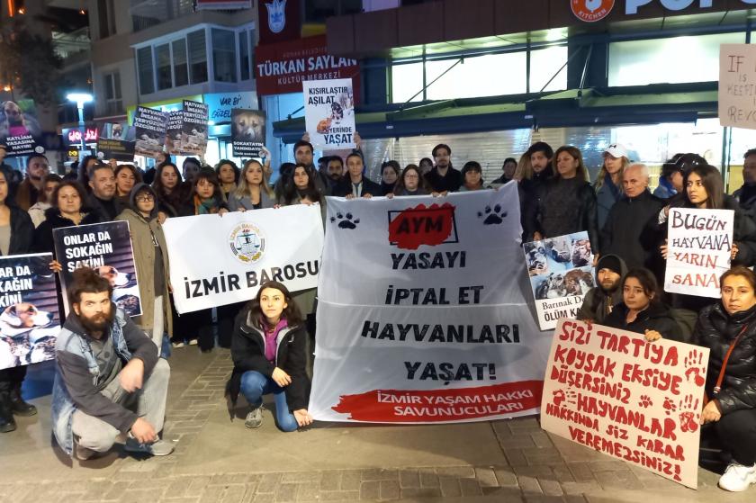 hayvan hakları ile ilgili basın açıklaması