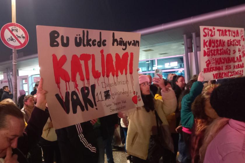 Osmaniye Barınağında katliam iddiası