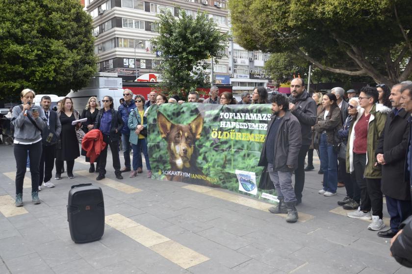 Adana'da hayvan katliamları protesto edidli