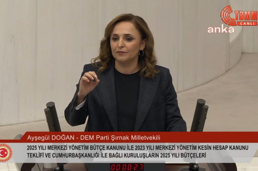 DEM Parti Şırnak Milletvekii Ayşegül Doğan