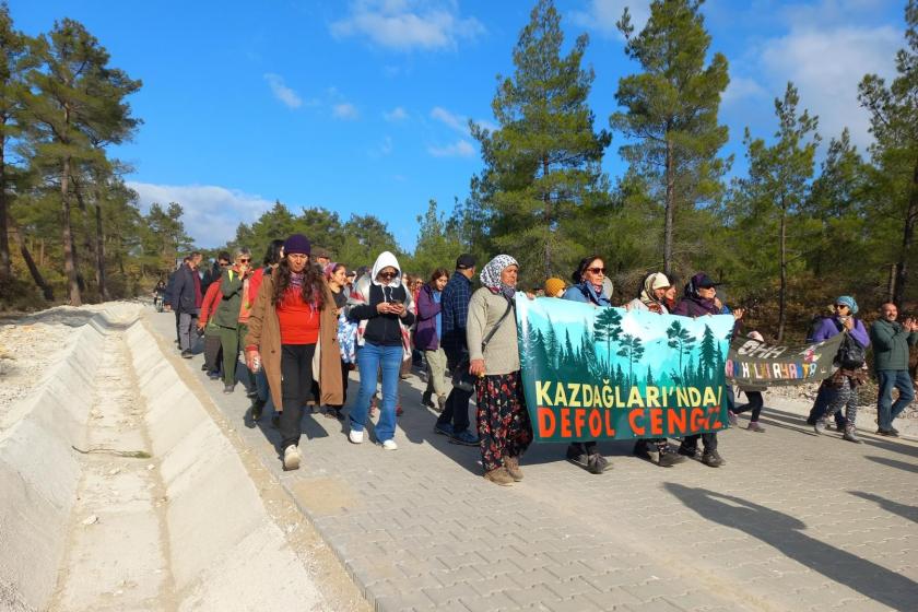 Doğa ve yaşam savunucularından Cengiz Holding’e rahat yok: Kazdağı’ndaki katliam için ülke genelinde suç duyurusu