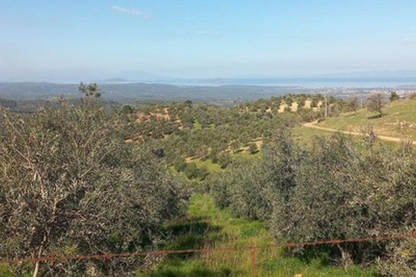 İvrindi'de maden tehdidi: Köylülerden yaylanın boşaltması istendi