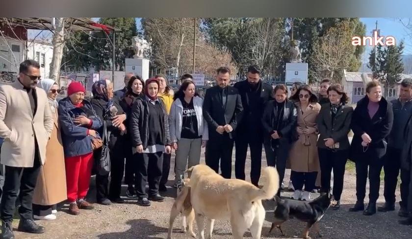 Osmaniye’de barınak katliamı iddiası: "Burası barınak değil mezarlık"