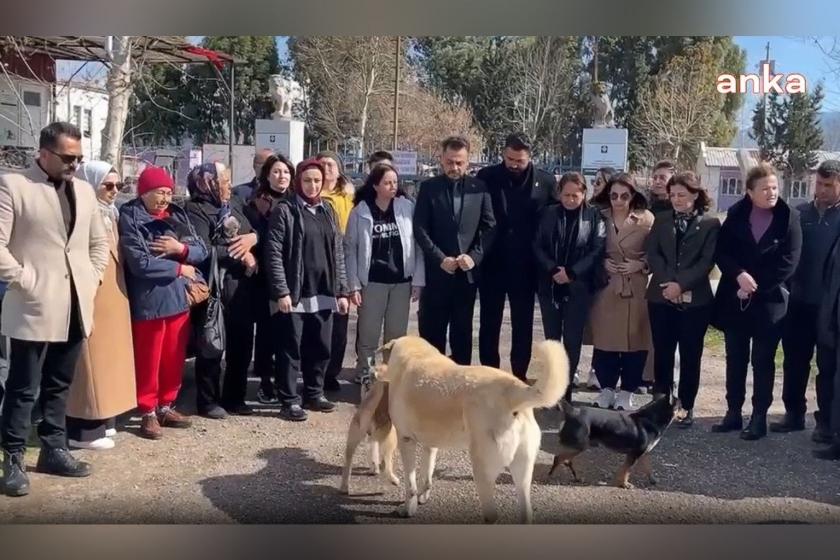 Osmaniye’de barınak katliamı iddiası: "Burası barınak değil mezarlık"